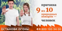В калужских лесах сохраняется высокая пожарная опасность