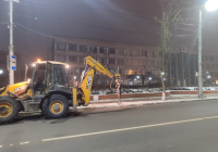 В Калуге активно дробят пни, оставшиеся на месте  удаленных погибших ясеней