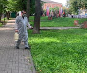 Парки и скверы Калуги повторно обработали от клещей