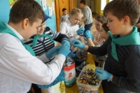 Калужская область заняла 8 место в Национальном экологическом рейтинге 