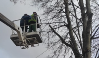 Два троллейбусных маршрута Калуги прекратят работу на три часа