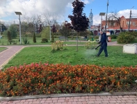 Калужские парки и скверы повторно обработали от клещей 