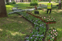 В Калуге посадили 32 тысячи летних цветов
