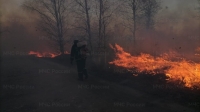 В Калужской области объявлен пожароопасный сезон
