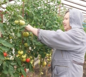 В Калуге выбирают лучший приусадебный участок и огород