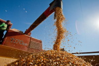 Калужская область утроила экспорт сельхозпродукции досрочно