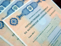Более 4 500 семей получили региональный материнский капитал