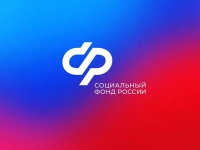 Свыше 200 индивидуальных предпринимателей в Калужской области получают пособия по материнству и выплаты по больничным