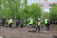 В микрорайоне Кубяка зацветет вишневый сад 