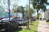 В Калуге продолжается комплексное благоустройство улицы Чичерина
