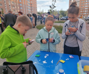Сотрудники Госавтоинспекции приняли участие в мероприятии "День Двора"