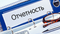 Калужские предприниматели могут быть освобождены от ряда отчетов в ПФР