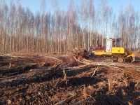 В регионе ведется работа по вовлечению в оборот сельхозземель