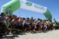 Зеленый марафон 2024