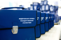 В Калужской области переписано 62,4 процента жителей