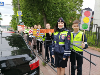 В Калуге прошла акция "Живая стена" 