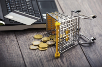 Полиция предупреждает о мошенничестве при купле-продаже товаров в сети Интернет