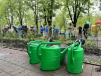 Озеленение Калуги началось с улицы Ленина