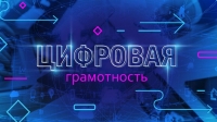 Рекомендации по безопасности в сети Интернет