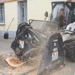С улиц Калуги продолжают удалять умершие деревья