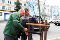 Восполнение зеленого фонда — в приоритете города
