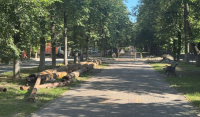 В Калуге начались работы по благоустройству бульвара Чичерина