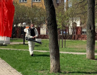 В городе обработали от клещей 14 скверов и парков