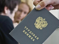 Выписка из электронной трудовой книжки содержит дополнительные сведения