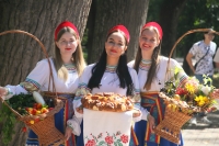 Садоводы и огородники представили плоды своих трудов на выставке в парке культуры и отдыха