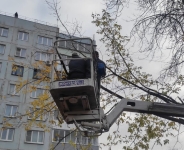 В Калуге проводятся мероприятия по содержанию зеленых насаждений