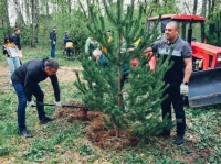 Международная акция "Сад Памяти"