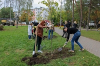 Калужские медики высадили липы в сквере Жукова 