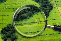Утверждены результаты определения кадастровой стоимости земельных участков на территории Калужской области