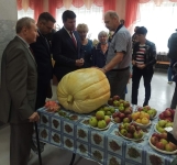 В Калуге открылась выставка "Дары сада, огорода и личного подворья 2022 года"