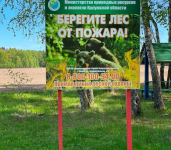 В 2022 году в калужских лесах благоустроят 400 площадок для отдыха туристов