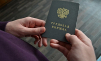Сведения о трудовой деятельности можно получить дистанционно