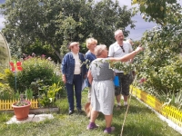 Комиссия "Калуги урожайной" продолжает оценивать конкурсантов 