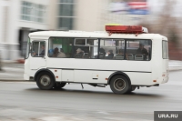 ОЧЕВИДЦЕВ ДТП ПРОСЯТ ОКАЗАТЬ СОДЕЙСТВИЕ 