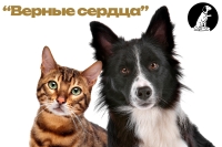 Конкурс "Верные сердца"