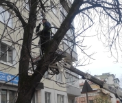 Продолжаются мероприятия по содержанию зеленых насаждений 