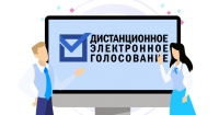 На выборах в Госдуму будут голосовать дистанционно более 33 тысяч калужан