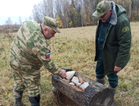 Минприроды проводит профилактические визиты в охотхозяйства региона