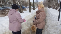 Владельцам собак напомнили правила выгула животных 