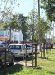В Калуге продолжается комплексное благоустройство улицы Чичерина