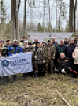 Международная акция "Сад памяти": в Мещовском лесничестве высадили 3,5 тысячи деревьев