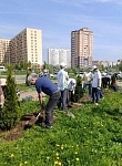 Калуга приняла участие в акции "Сад Памяти"