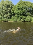 Безопасность на воде 